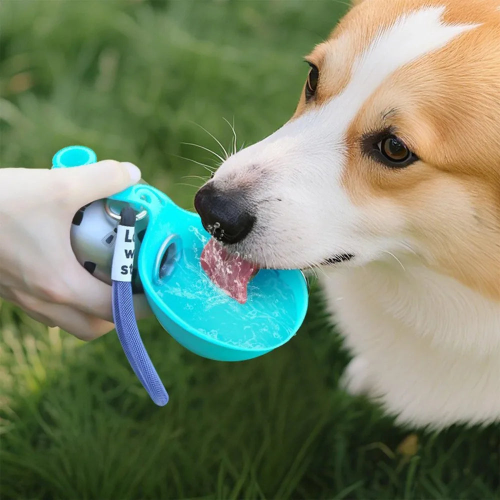 Dog drinking water from GulpMate portable bottle with silicone bowl trough