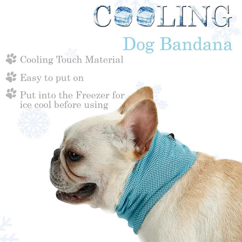 ChillMate cooling mesh bandana for dogs in blue pink purple