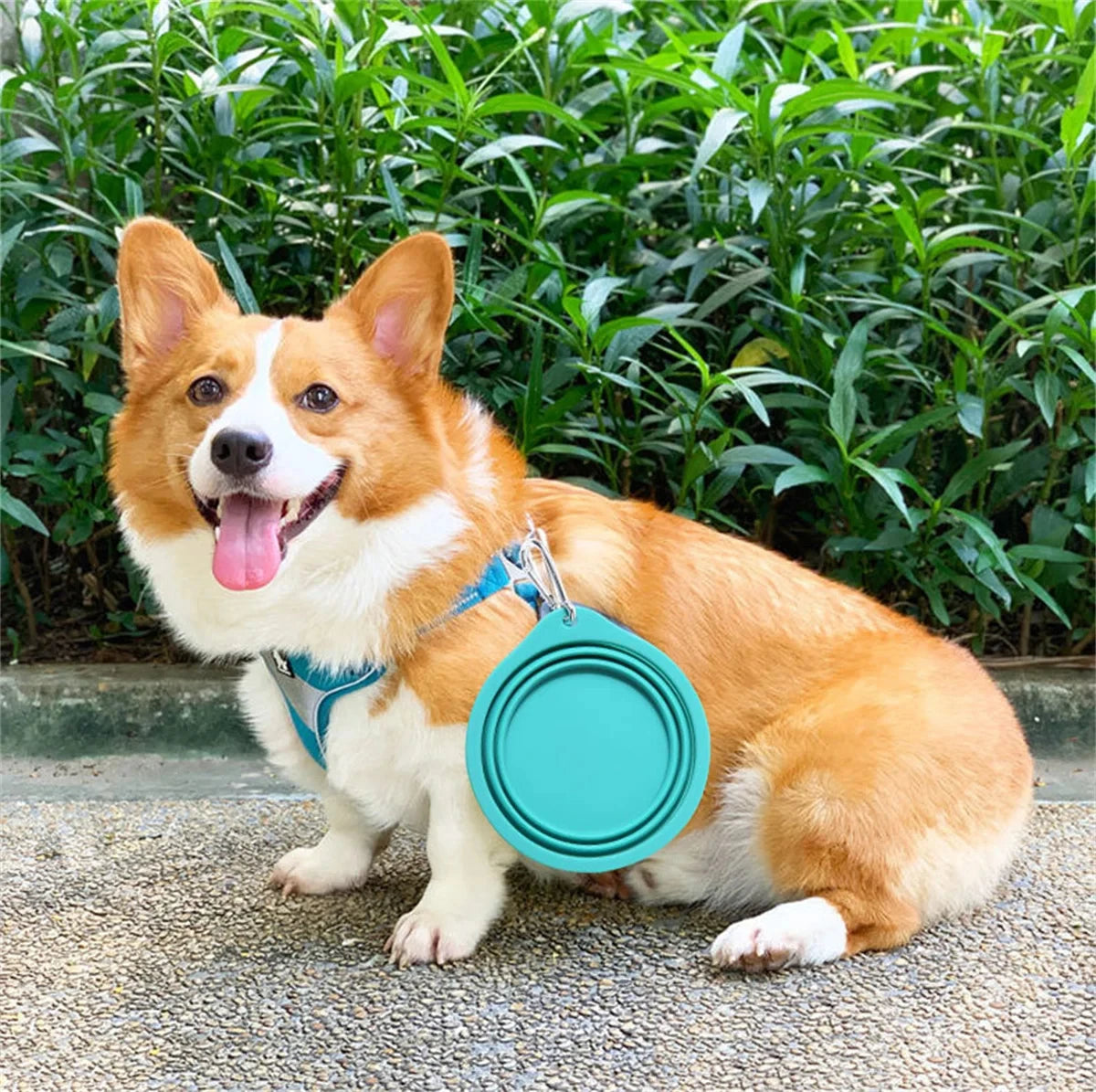 DineMate™ Collapsible Travel Bowl | 350ml & 600ml Foldable Silicone Bowl